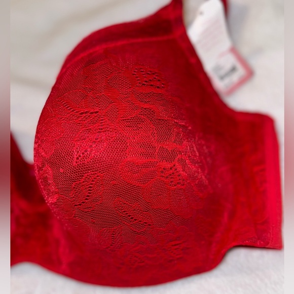 Cacique The modern collection New* NWT - Picture 11 of 12